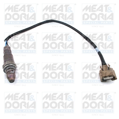 Oxygen Sensor